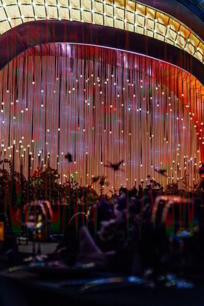 探索金年会的完美玩法场地